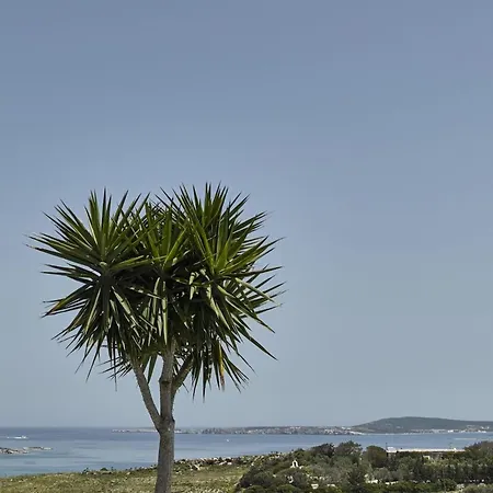 Maria Seaview Near Nyaraló